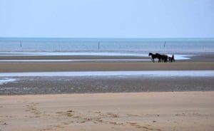 Utah Beach today seems much more tranquil. 