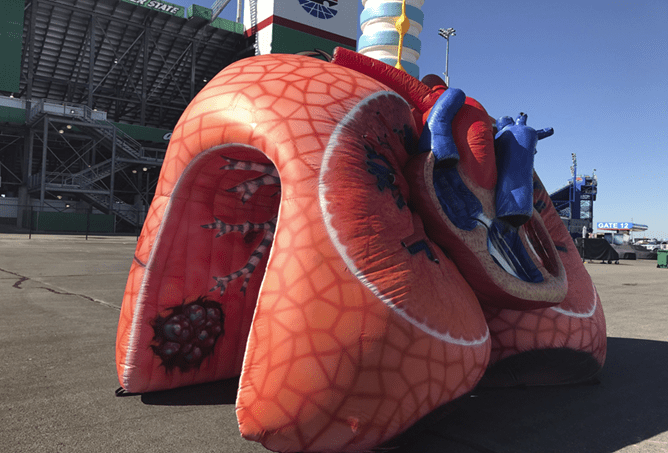 inflatable-lung-exhibit